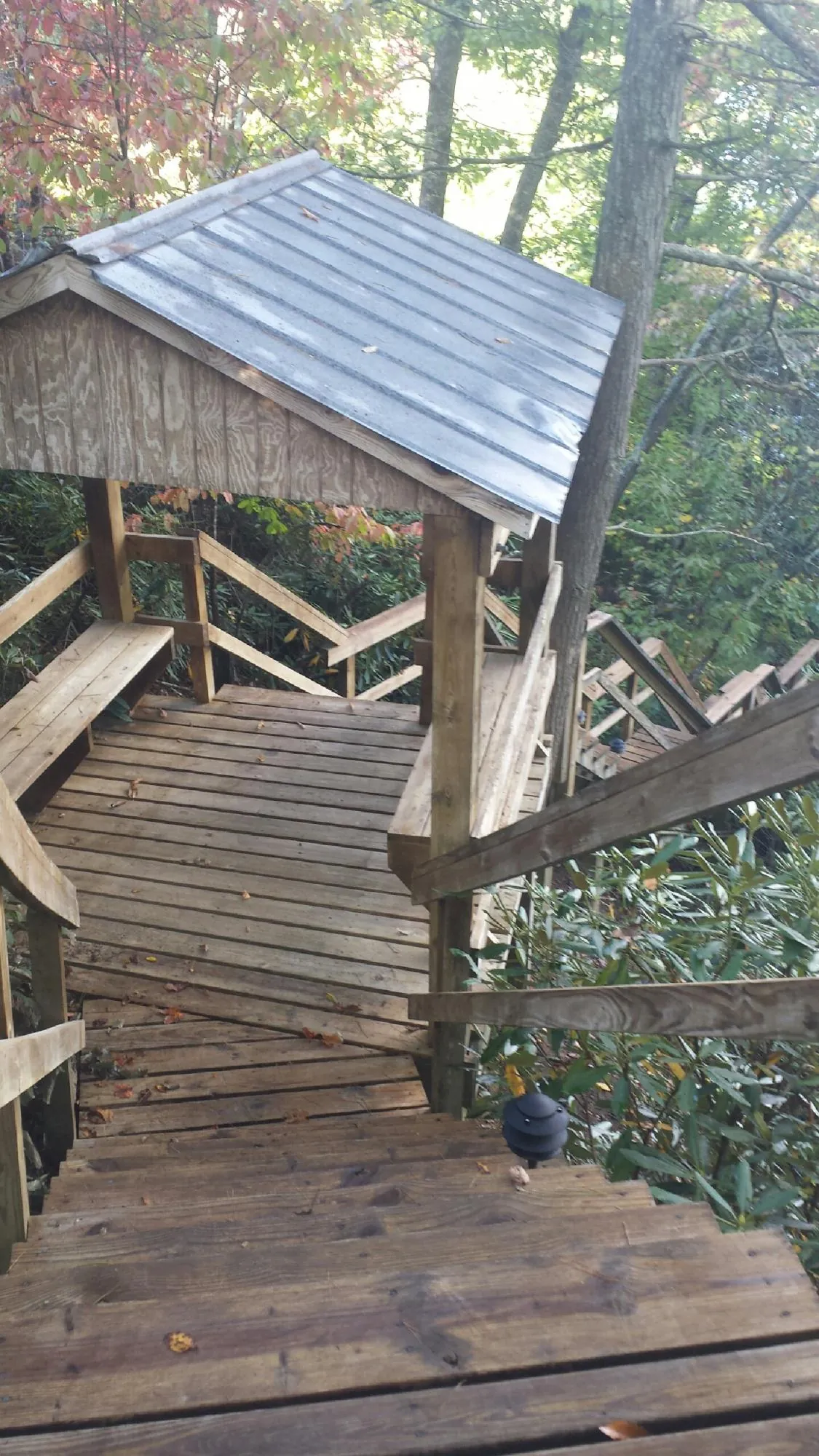 Metal roofed shelter over wooden steps on a wooded walkway — Skylight Repair & Installation work by our crew in Woodford
